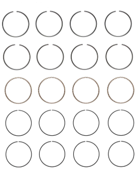 Engine Piston Ring Set for 2000-06 Nissan Sentra 1.8L V4 STD