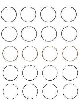 Engine Piston Ring Set for 2001-06 Nissan Sentra 2.5L V4 STD